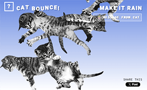Cat Bounce - Bouncing Cats